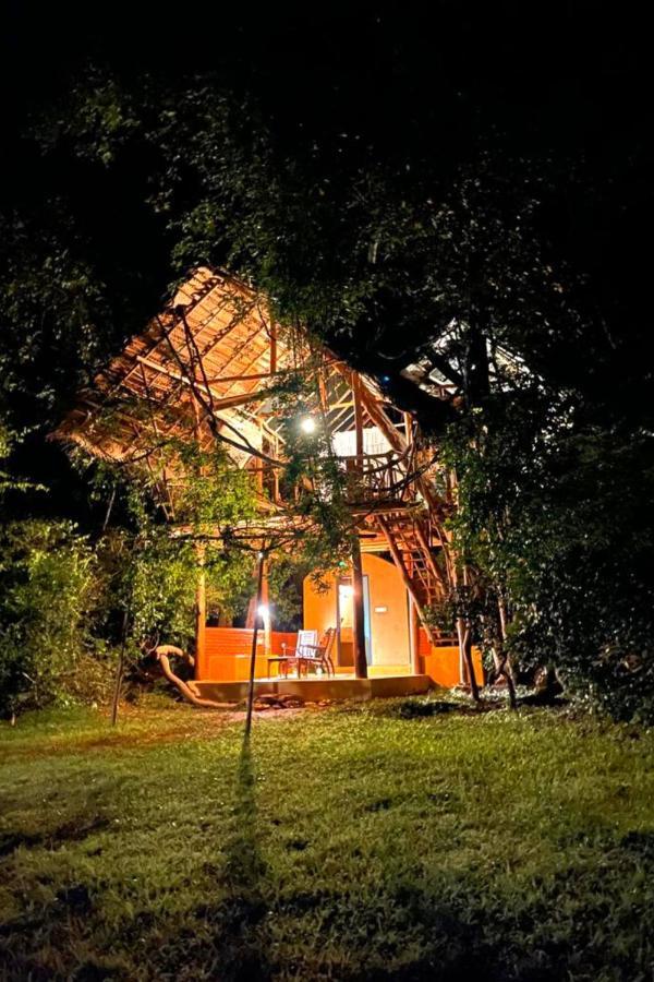 Back Of Beyond - Wild Haven Villa Sigiriya Exterior photo