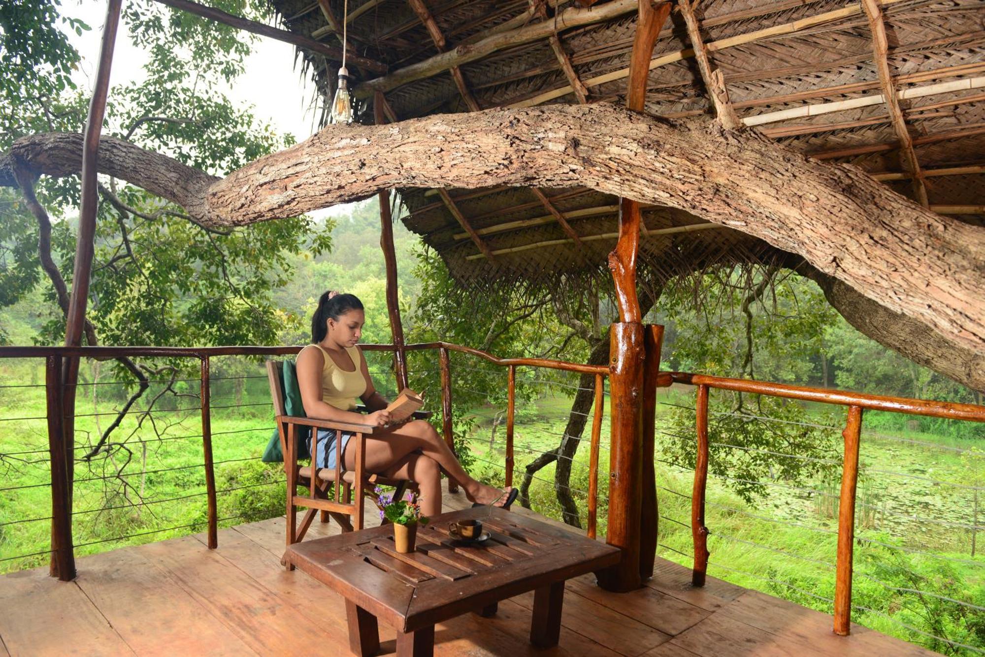 Back Of Beyond - Wild Haven Villa Sigiriya Exterior photo