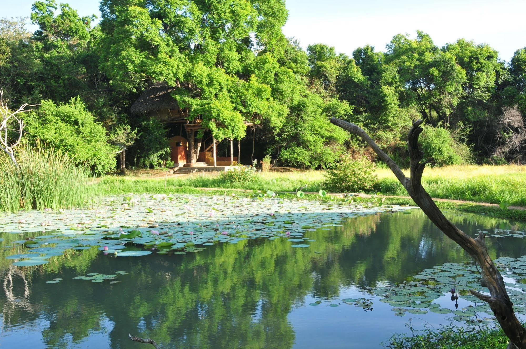 Back Of Beyond - Wild Haven Villa Sigiriya Exterior photo