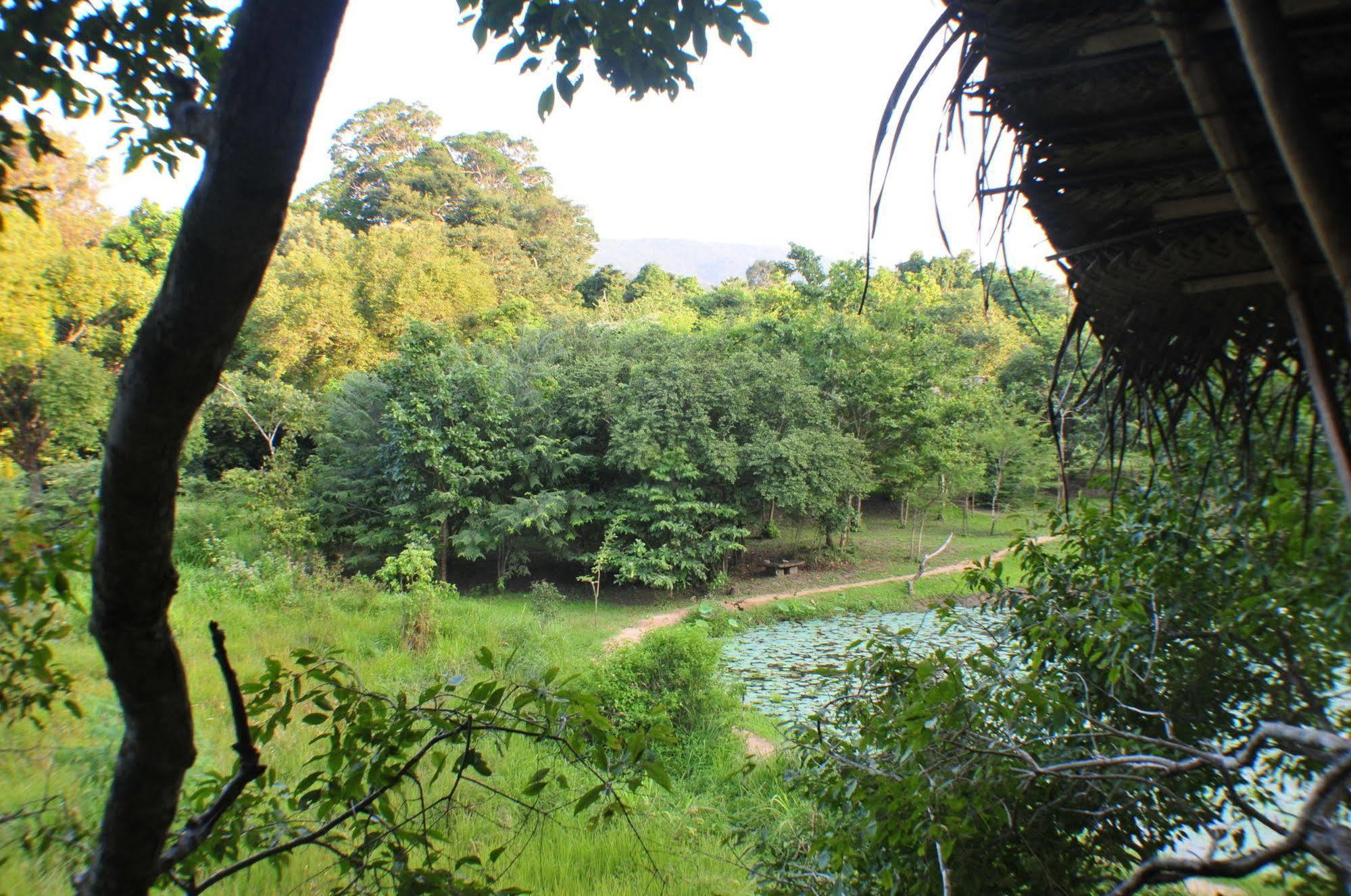 Back Of Beyond - Wild Haven Villa Sigiriya Exterior photo