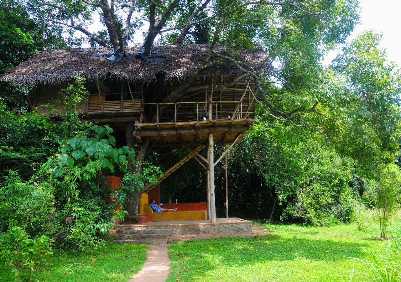 Back Of Beyond - Wild Haven Villa Sigiriya Exterior photo