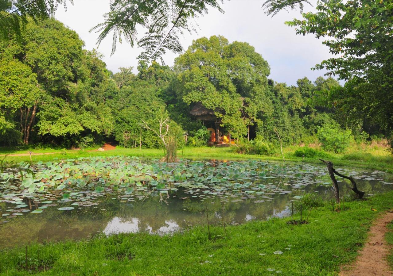 Back Of Beyond - Wild Haven Villa Sigiriya Exterior photo