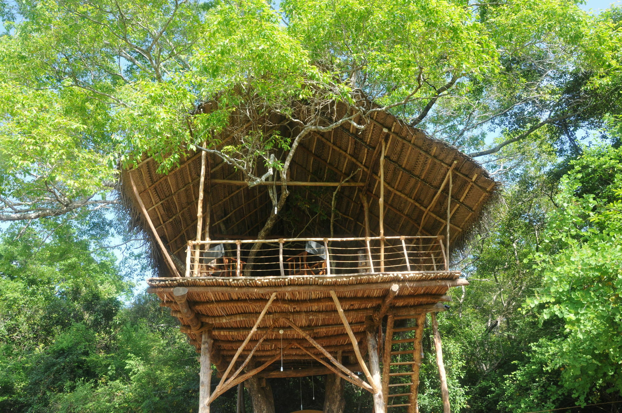 Back Of Beyond - Wild Haven Villa Sigiriya Exterior photo