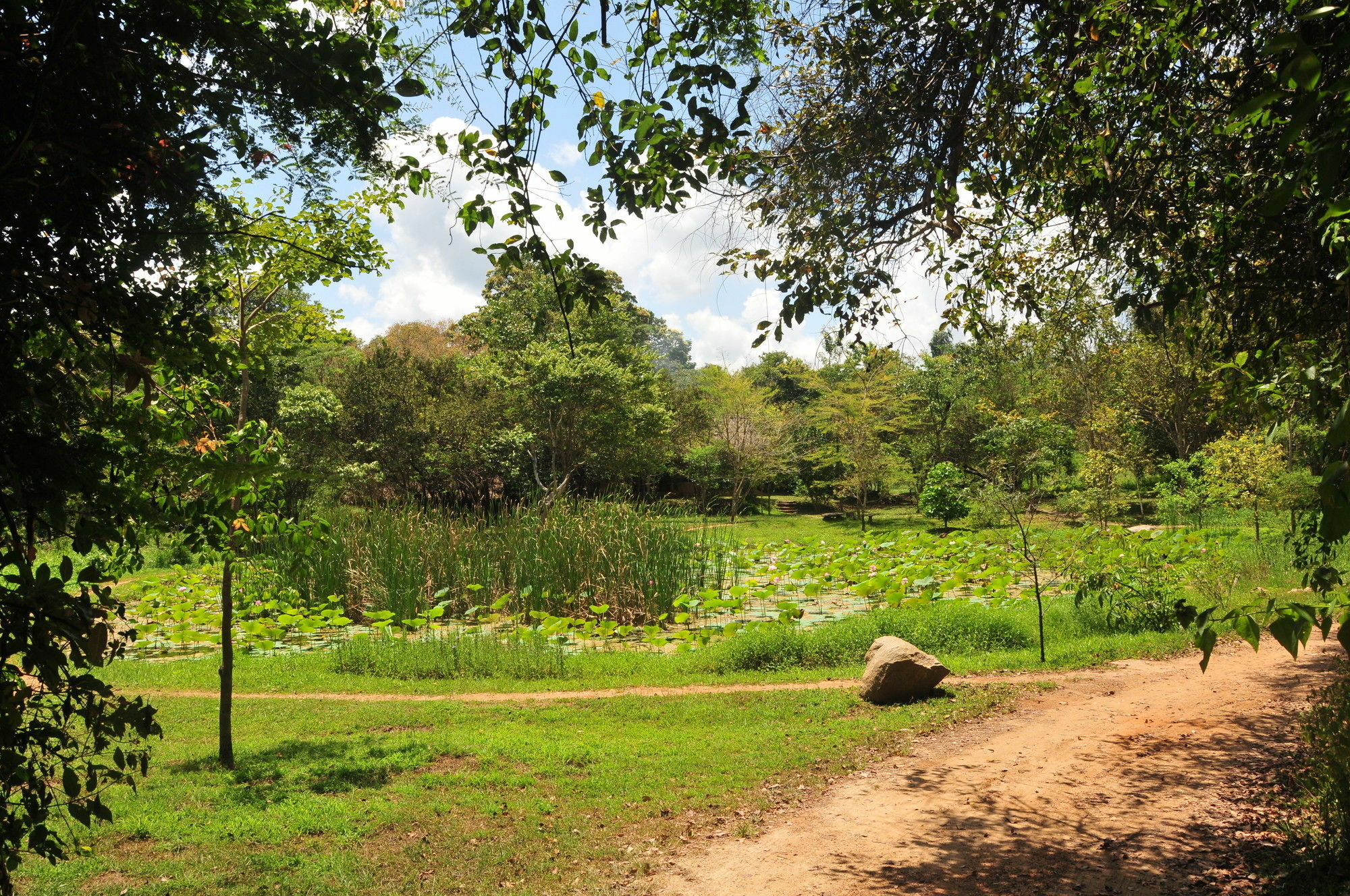 Back Of Beyond - Wild Haven Villa Sigiriya Exterior photo